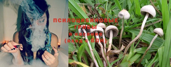 гашиш Белокуриха