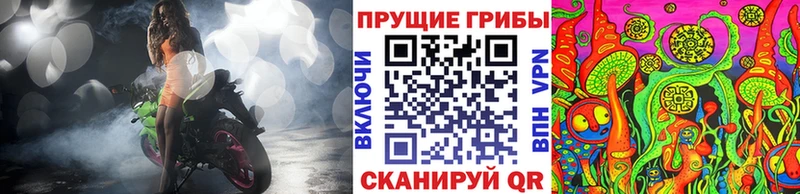наркошоп  Чапаевск  Псилоцибиновые грибы ЛСД 